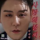 불씨 이미지