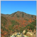 대운산자연휴양림 이미지