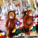 트인아이유치원 이미지