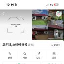 고운채 스테이 이미지