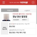 카앤피플양산