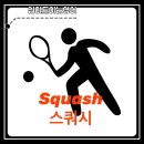 입트영 24.05.06 - Squash 스쿼시
