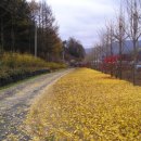 세은농장 이미지