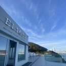 EL(이엘)16.52 | 부산 송도 대형카페, 이엘16.52에서 펩시와 함께한 힐링 시간 애견동반가능 오션뷰