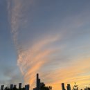 호수공원,중앙공원 | [세종 가볼만한곳] 도심 속에 바다가? 피크닉과 야경의 성지 '세종호수공원 &amp; 중앙공원'