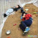 숲어린이집 이미지