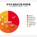 코코러스