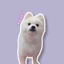 땡큐멍냥 이미지