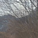 감동벼룻길 이미지