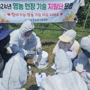 곡성(천안) 이미지