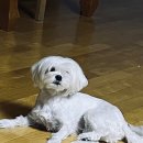 둥이마트 이미지