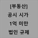 양세의원 | [부동산] 공시가겨 1억미만 법인 규제 | 청주 1억 미만 분위기 임장 후기 | 공시시가 1억미만