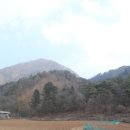 평창 지동봉가옥 이미지