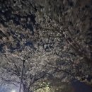 영강체육공원길 이미지