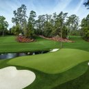 메이저골프클럽(주) 이미지