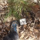 달돋이마을 이미지