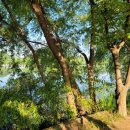 새싹공원(박물관공원 옆) 이미지