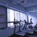 리핏 스튜디오 이미지