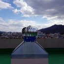 털보부식