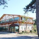 로뎀나무아래 이미지