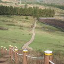 더오름민박 이미지