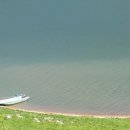 묘한인생 이미지