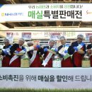 광양매실생산자단체