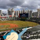 (주)롯데자이언츠 | 롯데 자이언츠 사직야구장 4월 직관 자리 시야 후기