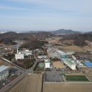 인술농장 네이버블로그