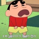 제일해외여행사 이미지