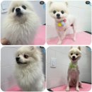 바른마음동물병원 이미지