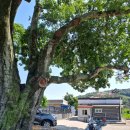 어은1리마을회관 이미지