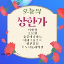 엠앤에스랩