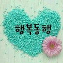 꼬꼬방 정모-계룡시에서 이미지