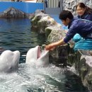 남매수산 이미지