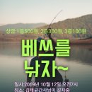 합천시즌2-2 샬롯메이슨 교육법 적용편 : 서와콩 콘서트 후기외 자연활동 (보너스 후기) 이미지