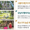 신세대스크린골프 이미지