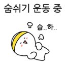 스킨바더안