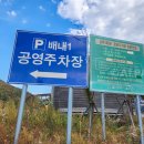 구성사슴농장 이미지