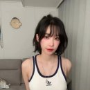 마젠타 Daum카페