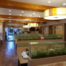 샤브향(오천점) 이미지