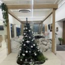 (주)바디프랜드 부산개금 | 부산 개금 필라테스 pt 추천 어스필라테스 8:1 그룹 필라테스 2주차 후기: 느껴지는 변화