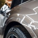 렉스디테일 이미지