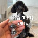 몽개구름 이미지