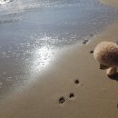 굳데이 네이버블로그