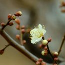 황성농장 이미지