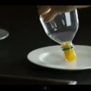 노른자PC 이미지