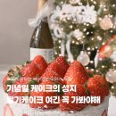 필 태권도장 | 진주케이크 맛집 무위 케이크 내돈내산 후기｜기념일케이크로 추천하는 딸기케이크