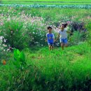 가을동화2 이미지