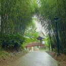 다와국수 이미지